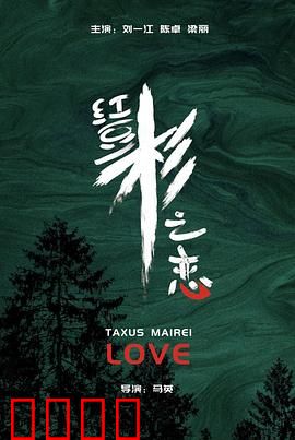 红豆杉之恋:守护那片绿