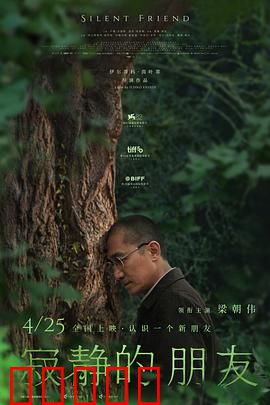 寂静的朋友:无声的守护